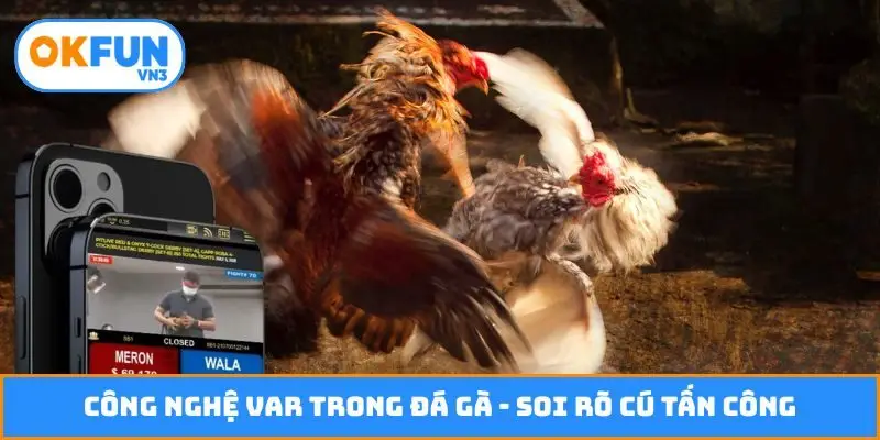 Công nghệ VAR trong đá gà