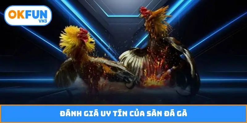 Đánh giá uy tín của sàn đá gà