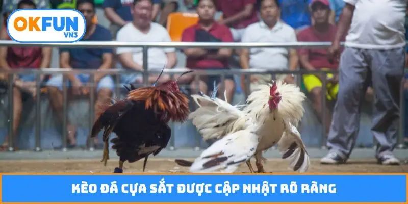 Kèo đá cựa sắt được cập nhật rõ ràng