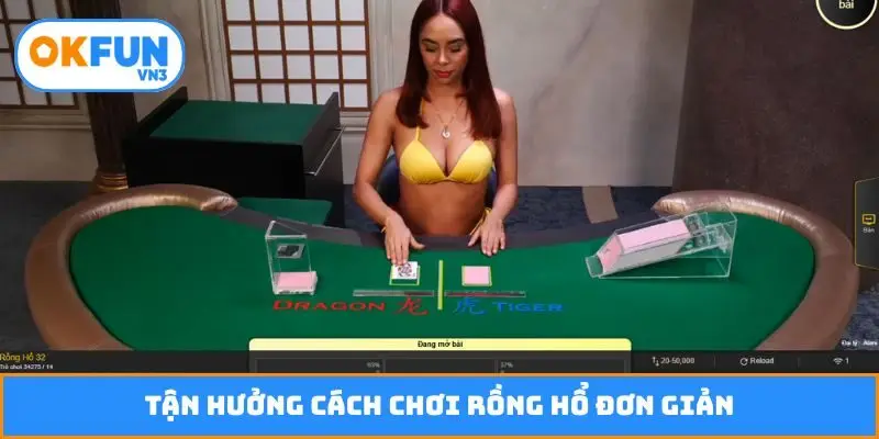 Tận hưởng cách chơi Rồng Hổ đơn giản