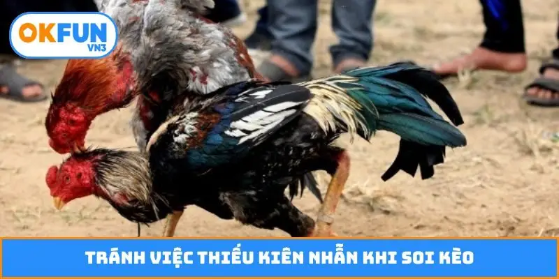 Tránh việc thiếu kiên nhẫn khi soi kèo