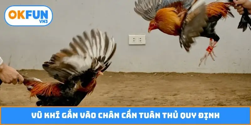 Vũ khí gắn vào chân cần tuân thủ quy định